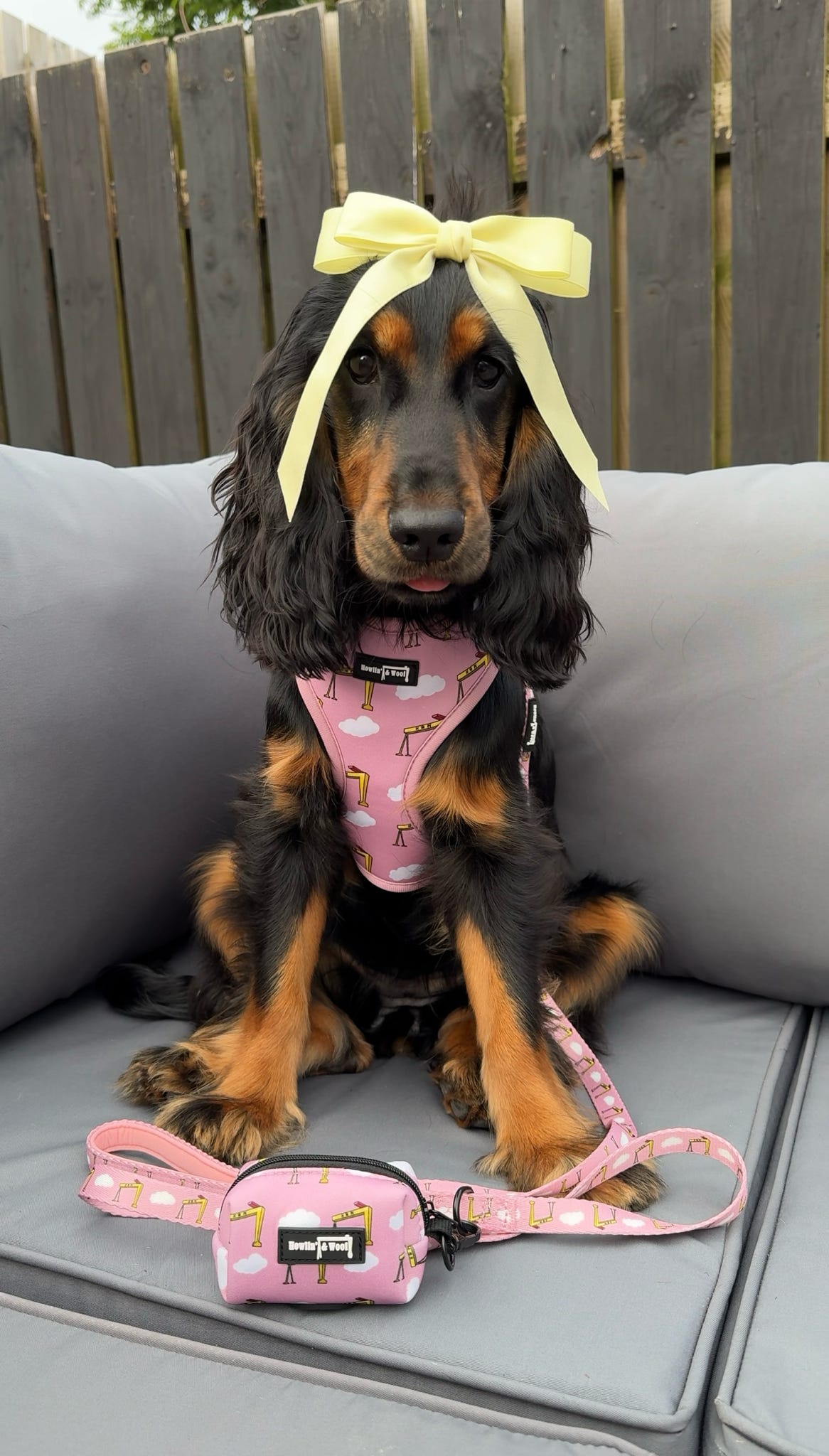 Big Yella Cranes - Lead