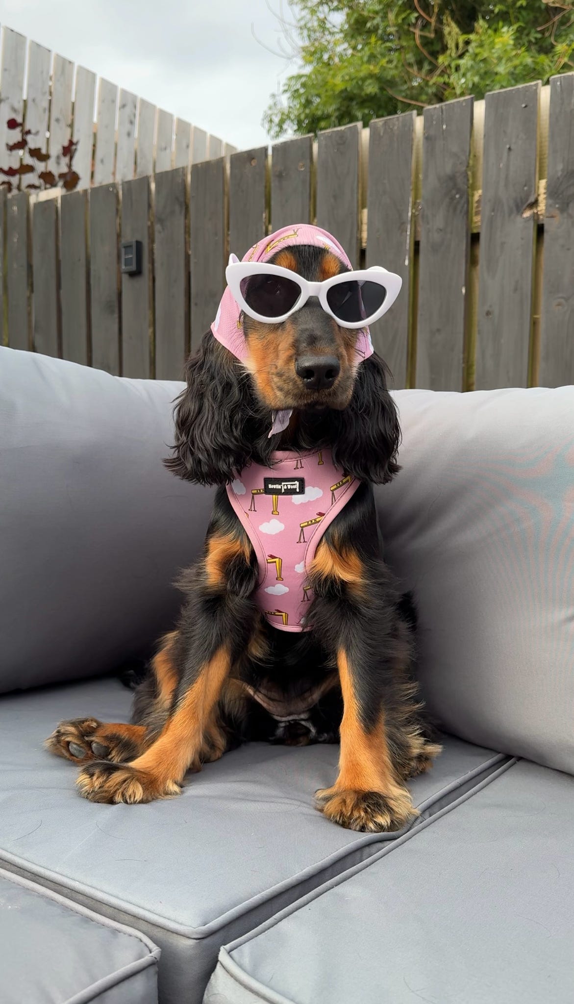 Big Yella Cranes - The Wee One