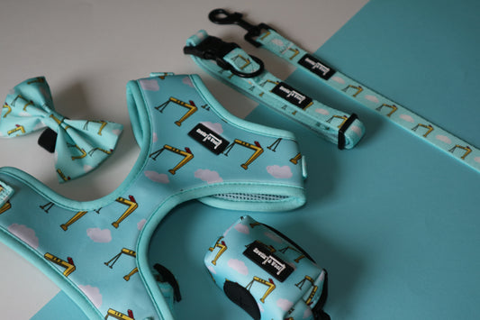 Big Yella Cranes - The Big one (inc Bow)