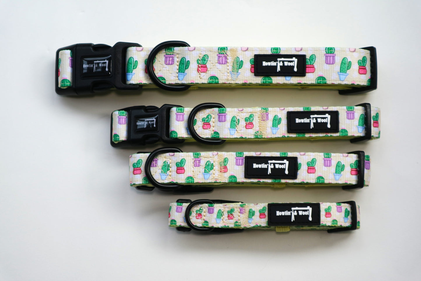 Wee Pricks - Adjustable collar