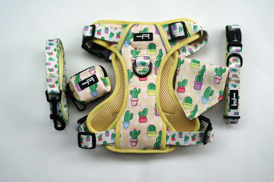 Wee Pricks - The Big One (including bandana)