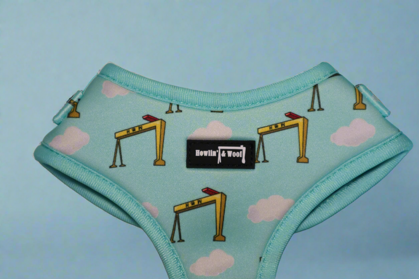 Big Yella Cranes - Adjustable Harness