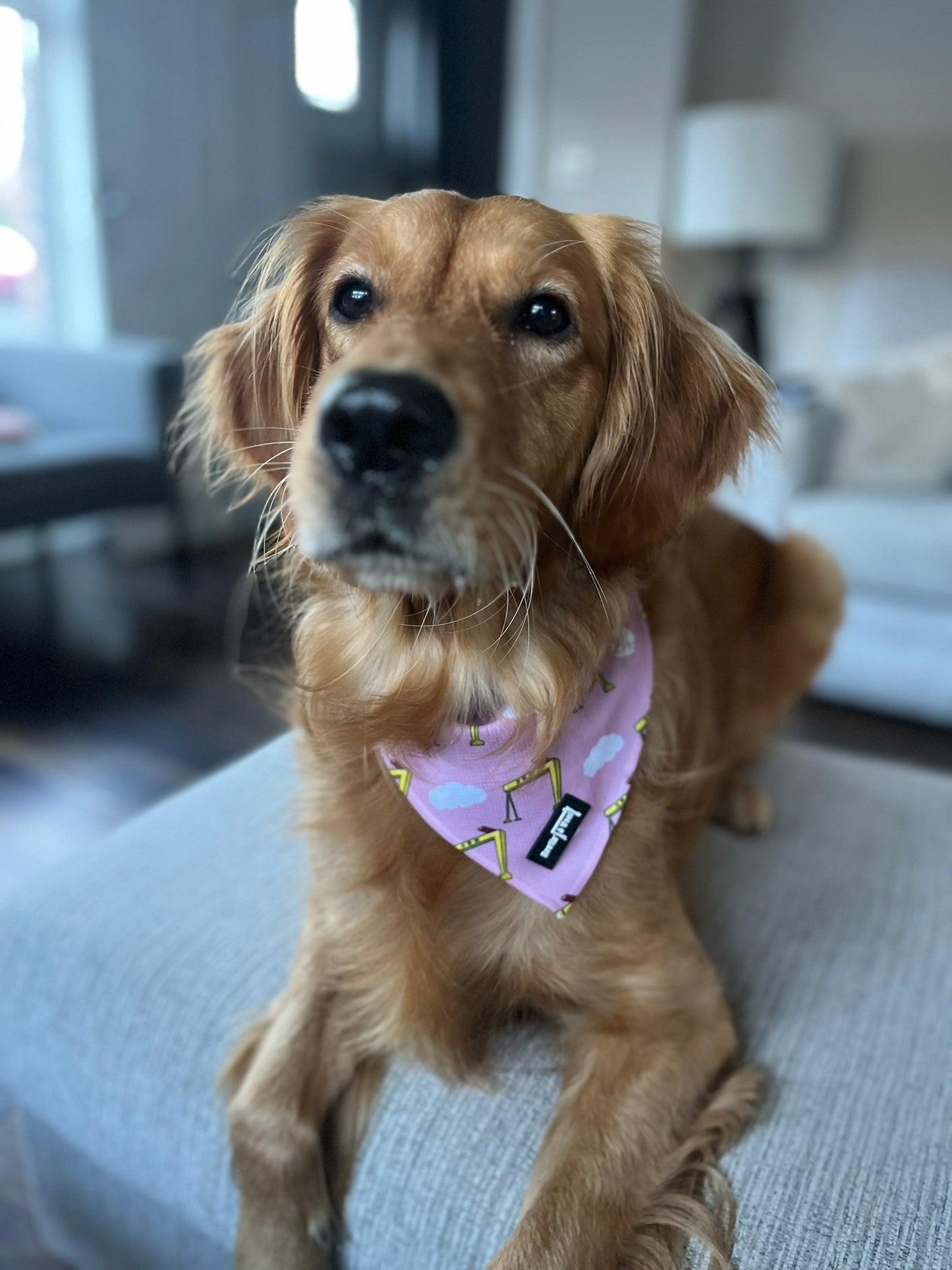 Big Yella Cranes - Bandana