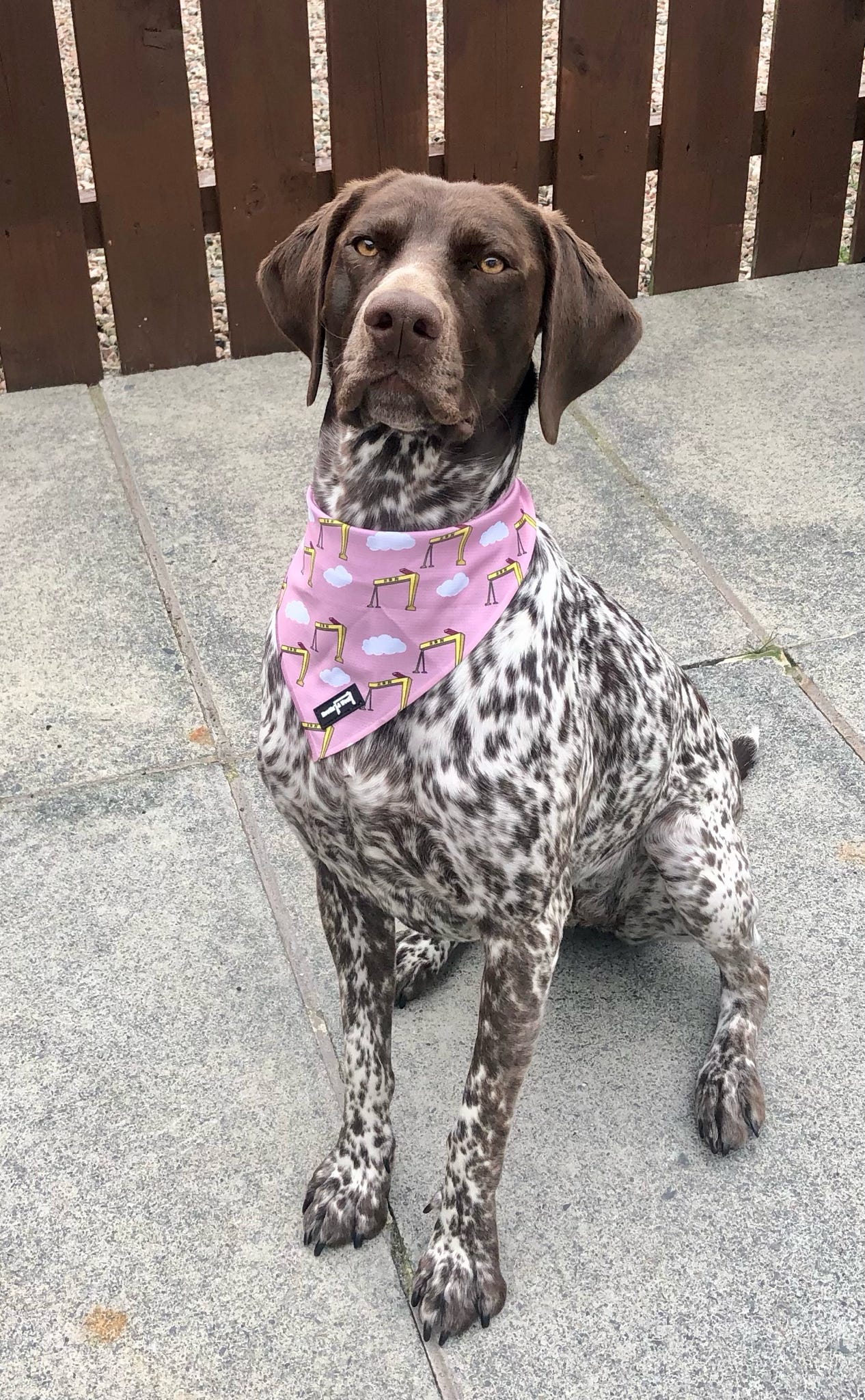 Big Yella Cranes - Bandana