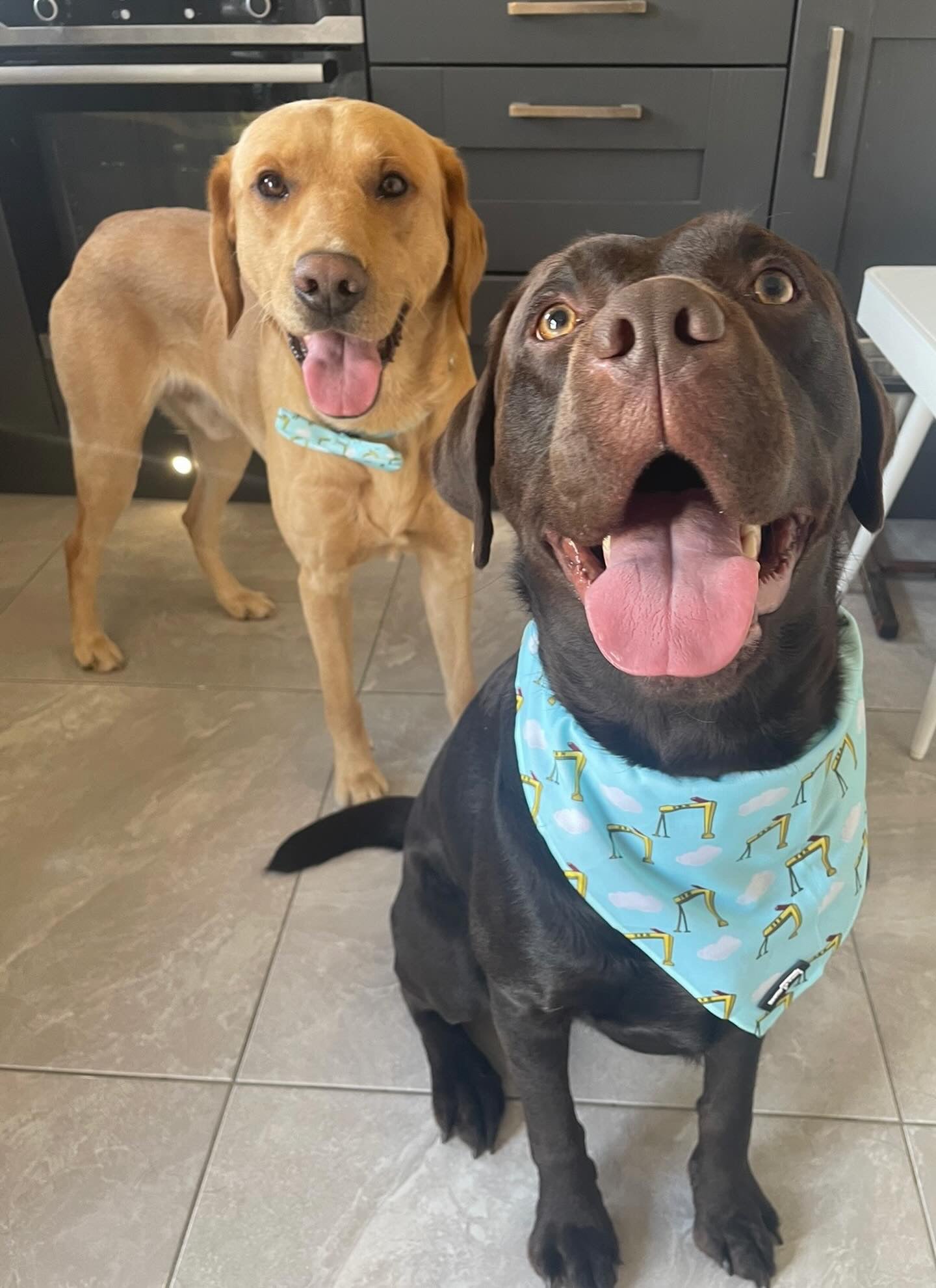 Big Yella Cranes - Bandana