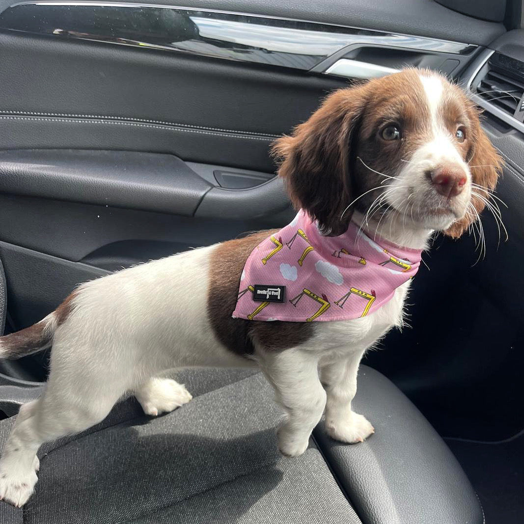 Big Yella Cranes - Bandana