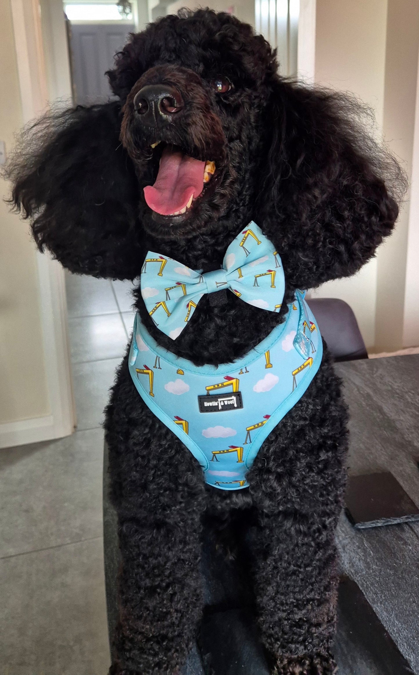 Big Yella Cranes - Bow